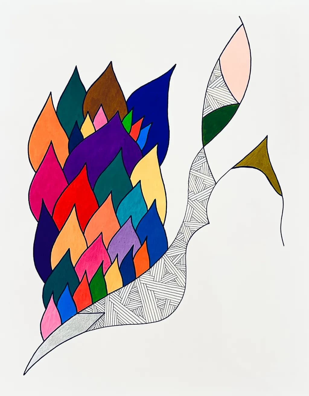 Colorful Crest
