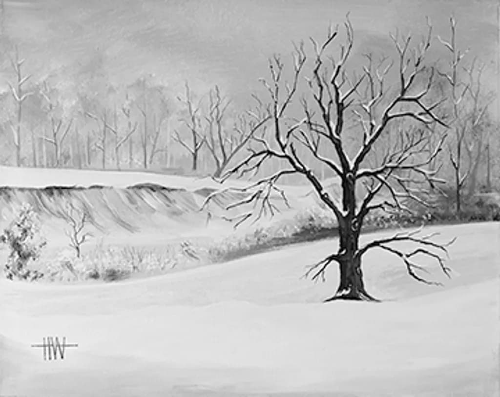 Leafless Tree