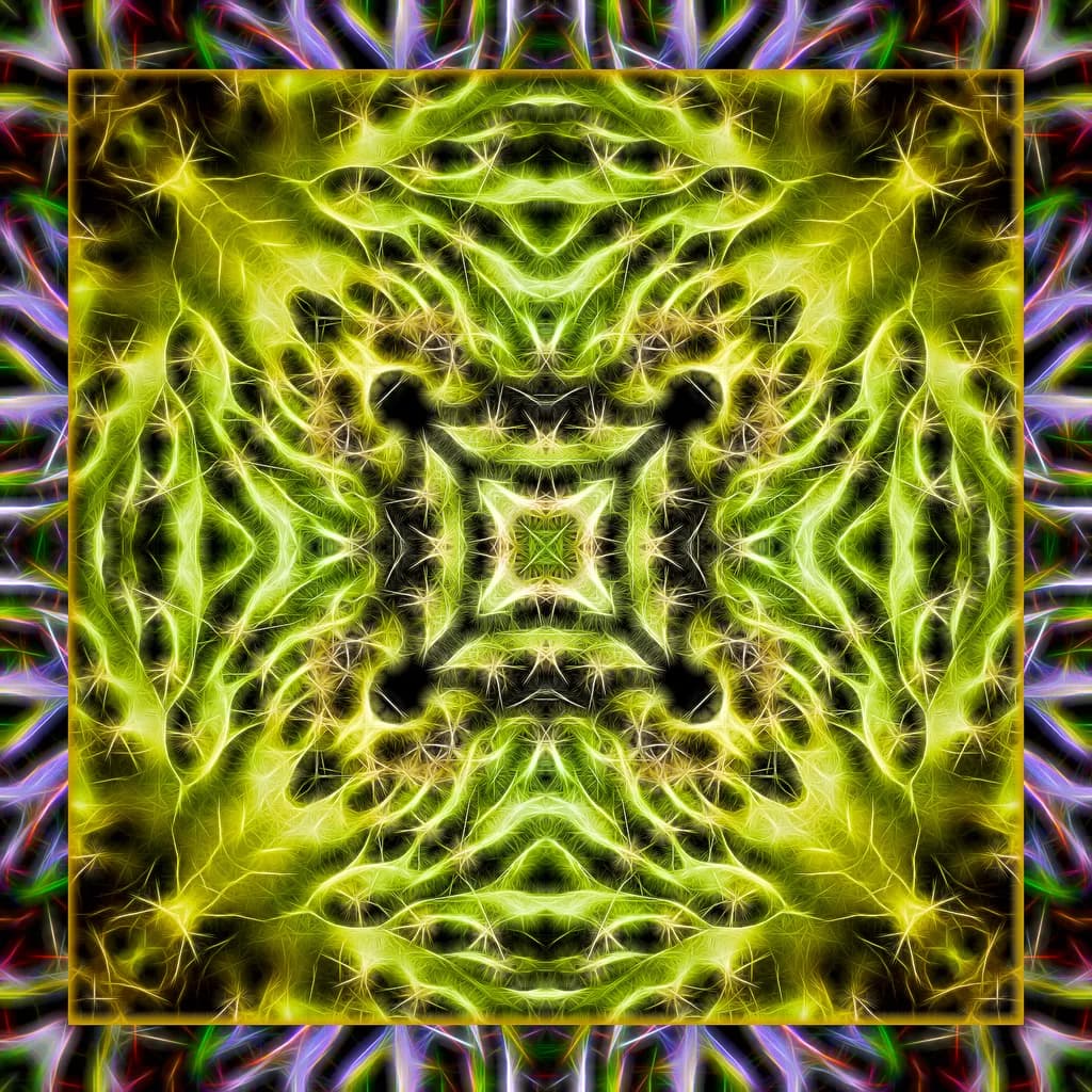 Luminous Symmetry