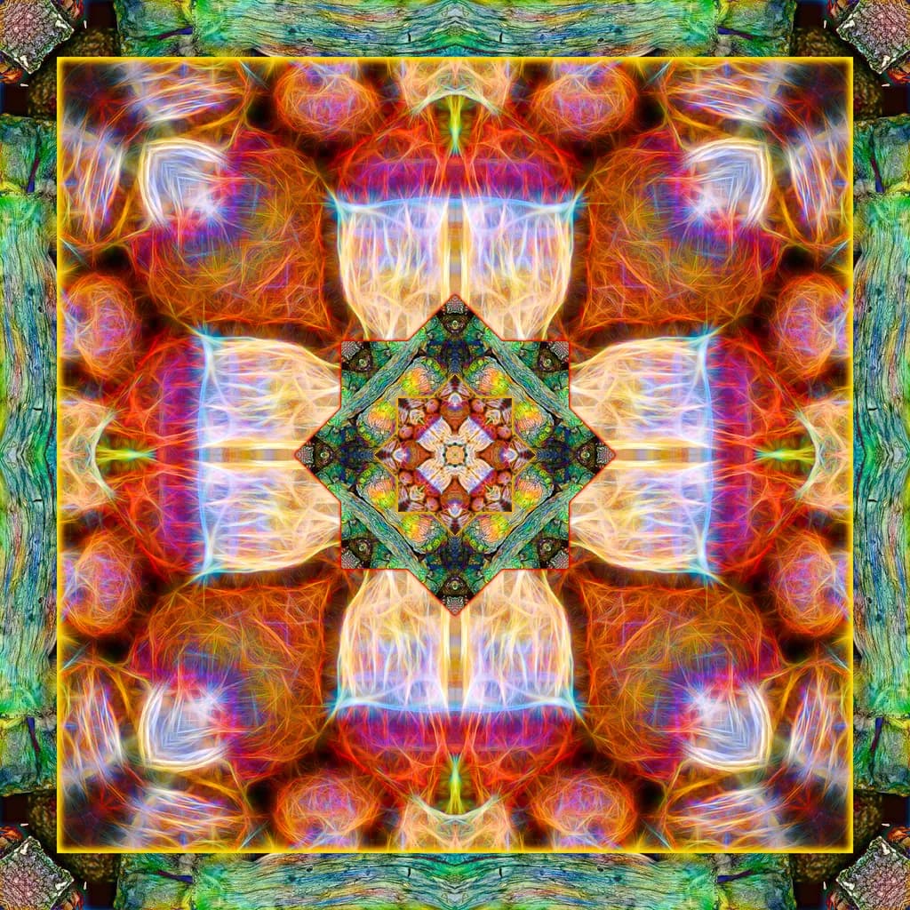 Shroomandala