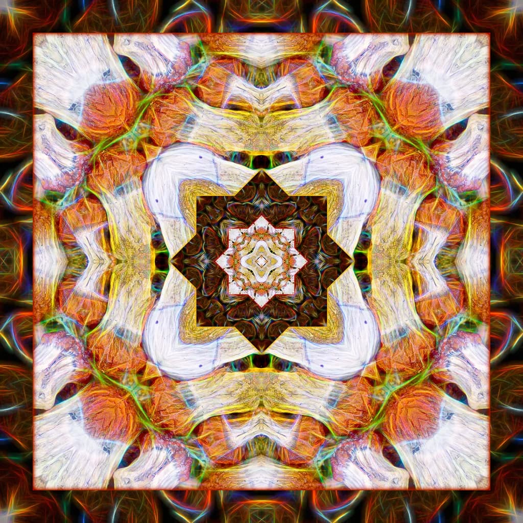Shroomandala