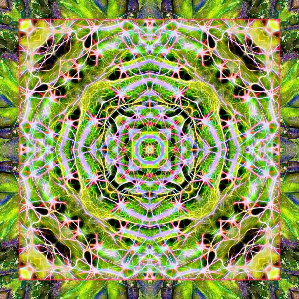 Neon Mandala
