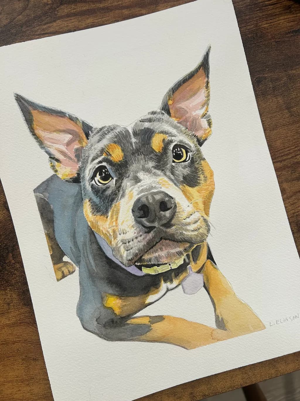 Whimsical Canine Portrait: A Colorful Expression of Playful Joy