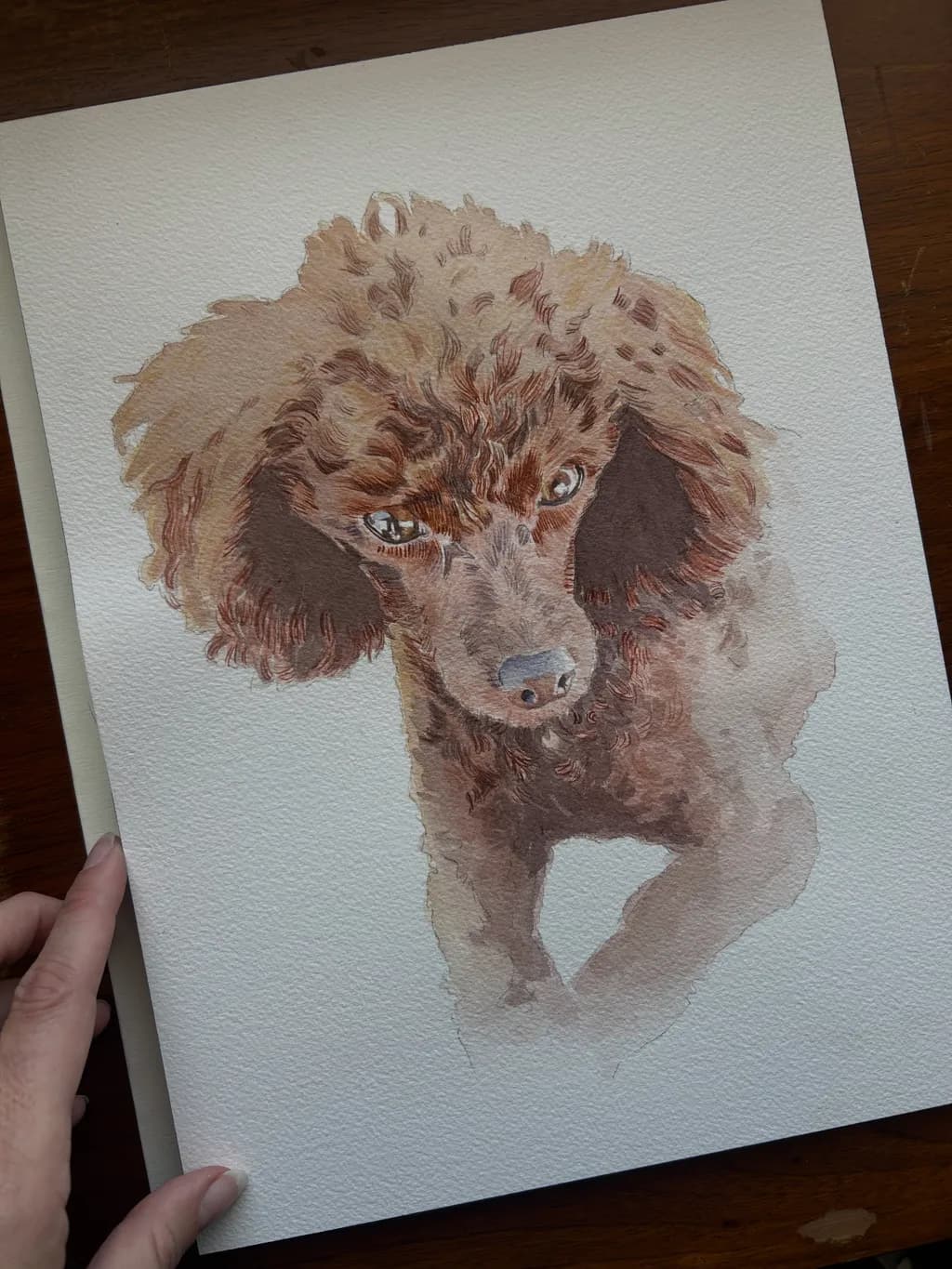 Whimsical Watercolor Portrait of a Playful Poodle