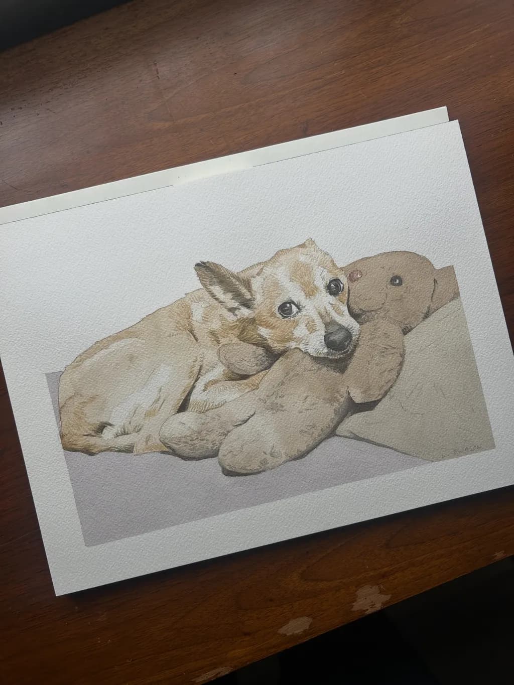 Whiskers and Cuddles: A Heartwarming Portrait of Comfort and Companionship