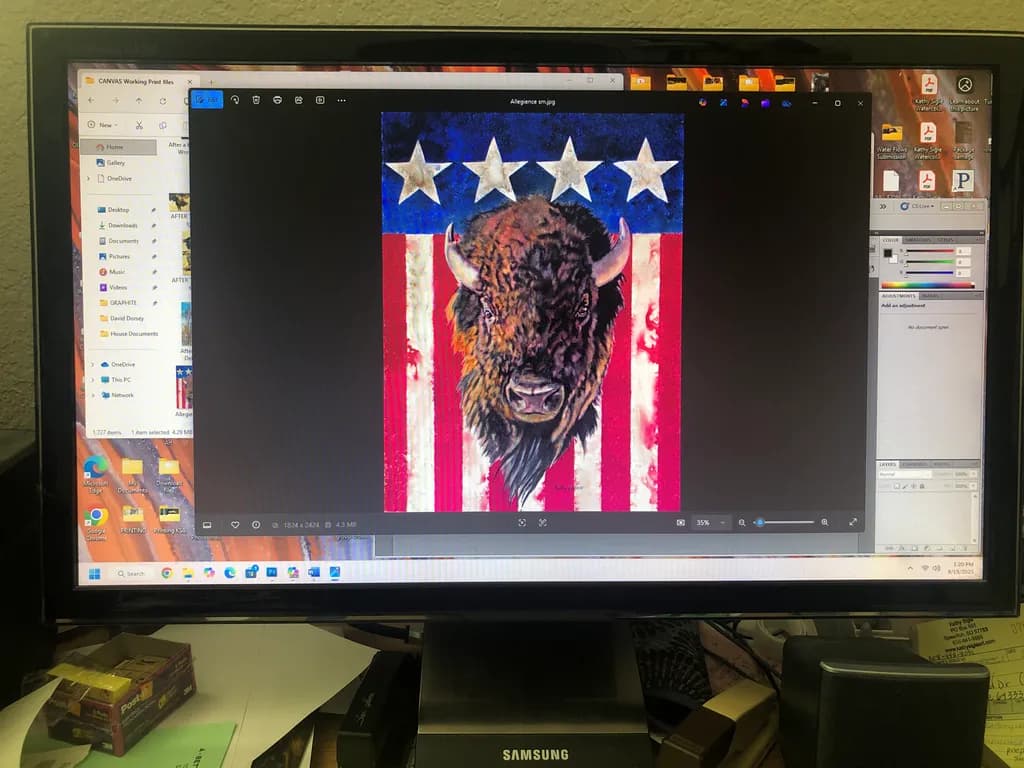 Buffalo Allegiance