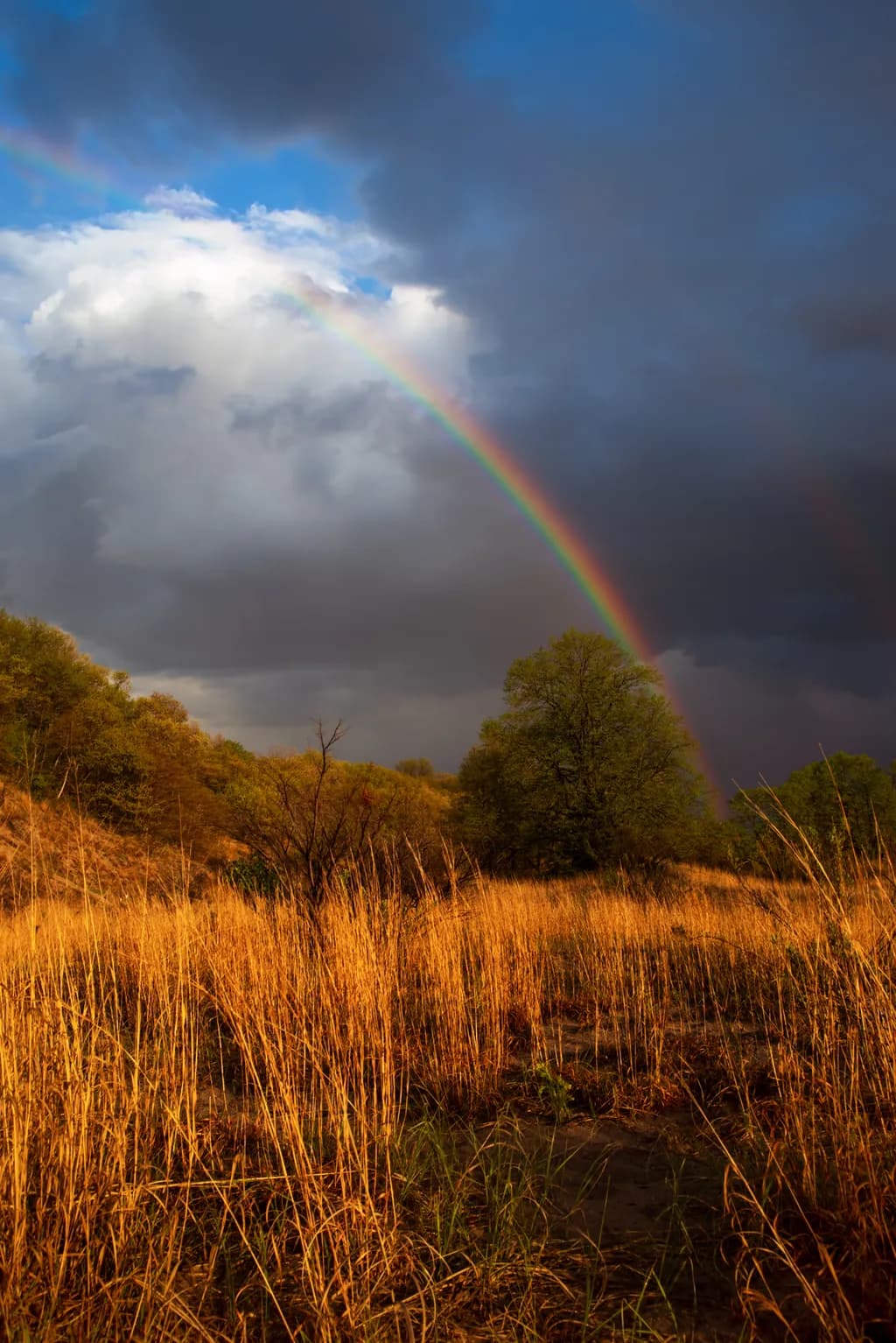 After the Storm