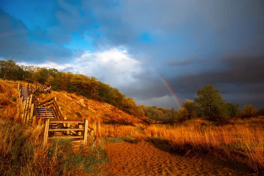 Rainbow Passage