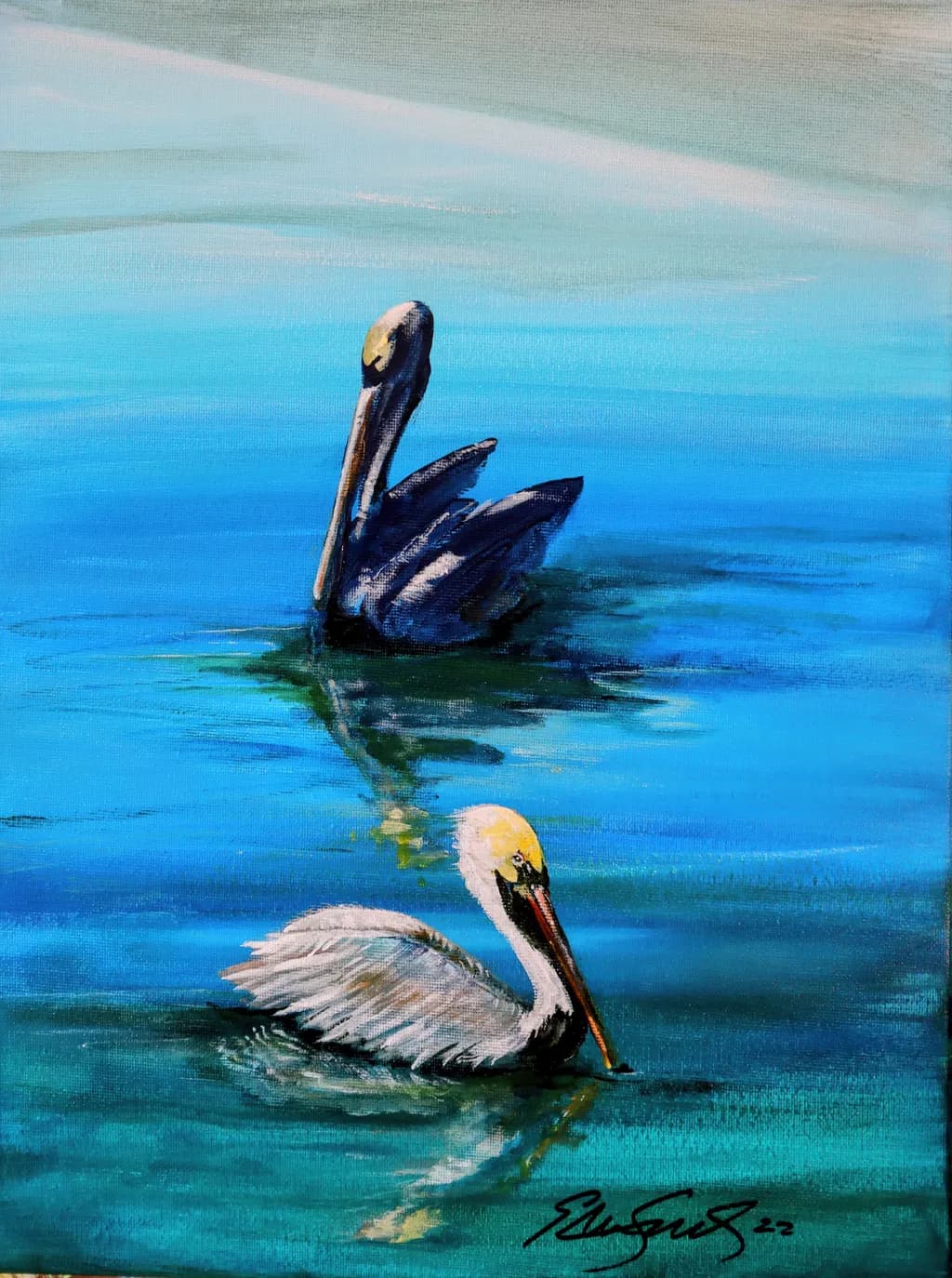 Serene Reflections: Pelicans Gliding Through Tranquil Waters
