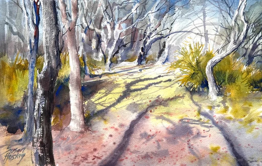 Brooker Creek Magic