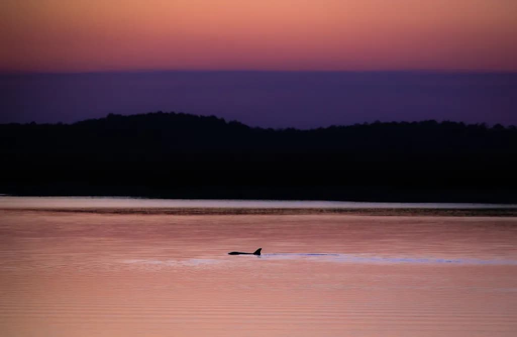 Twilight Reflection