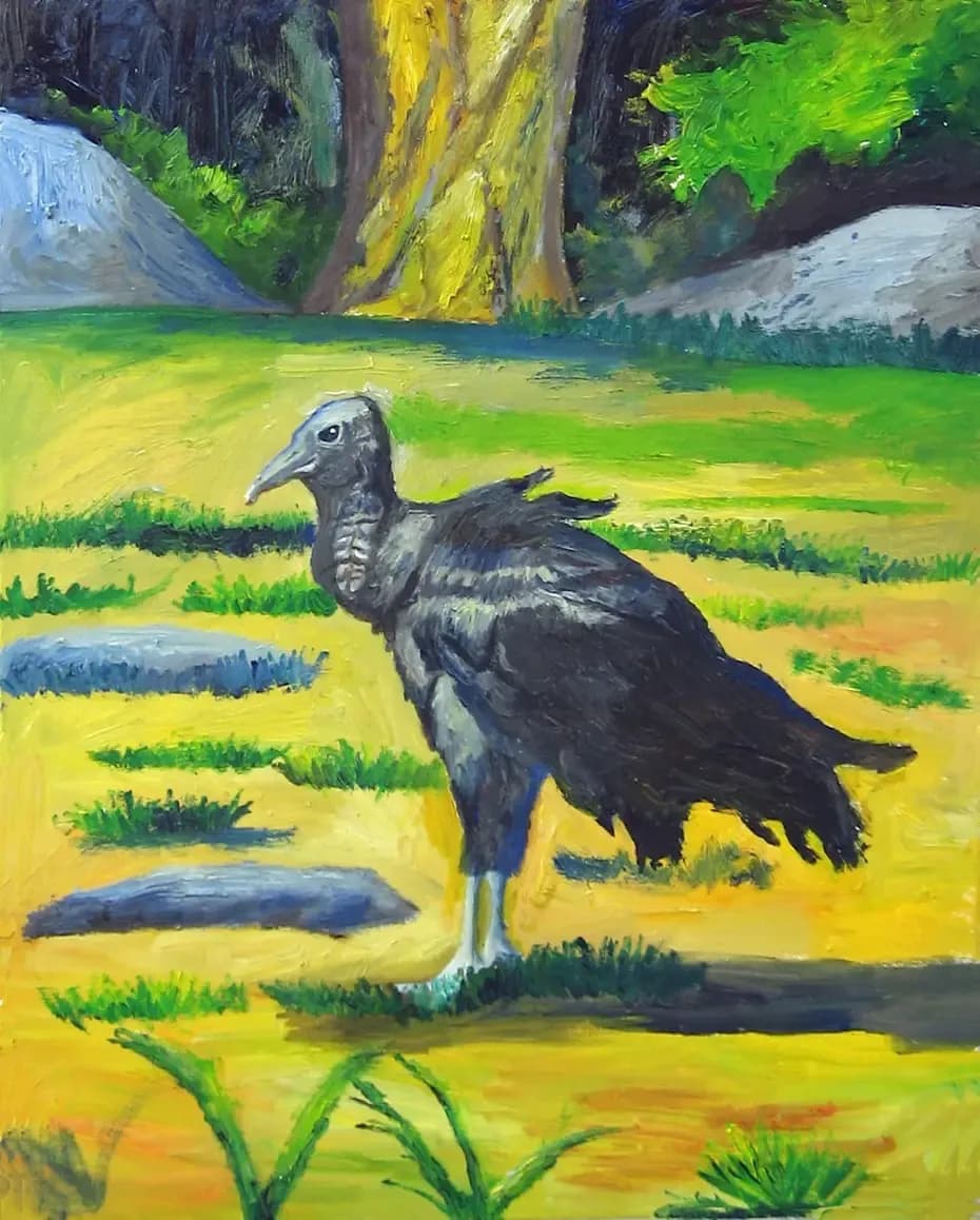 Vibrant Vulture: A Nature's Guardian in Lush Landscape