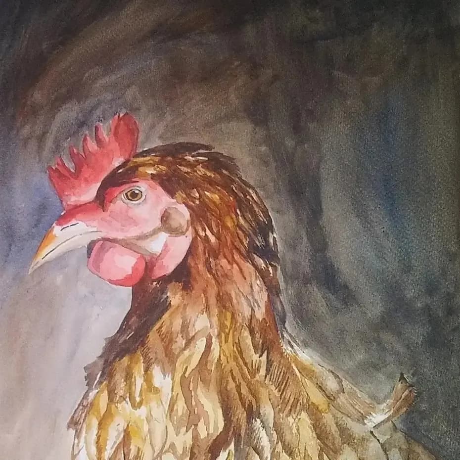 Regal Rooster