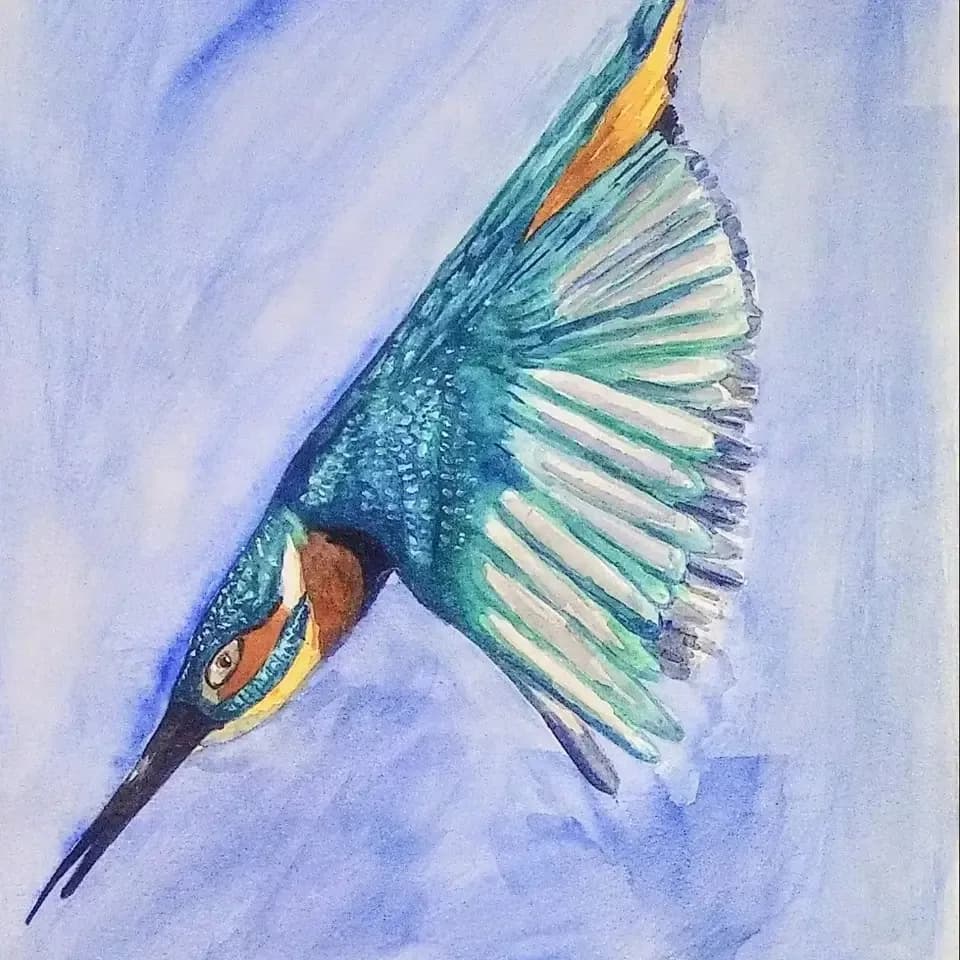 Colorful Kingfisher Flight