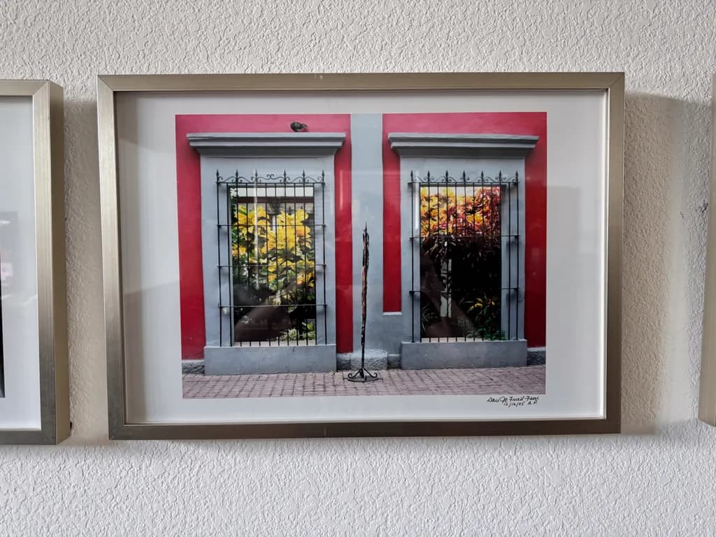 "Framed Reflections"