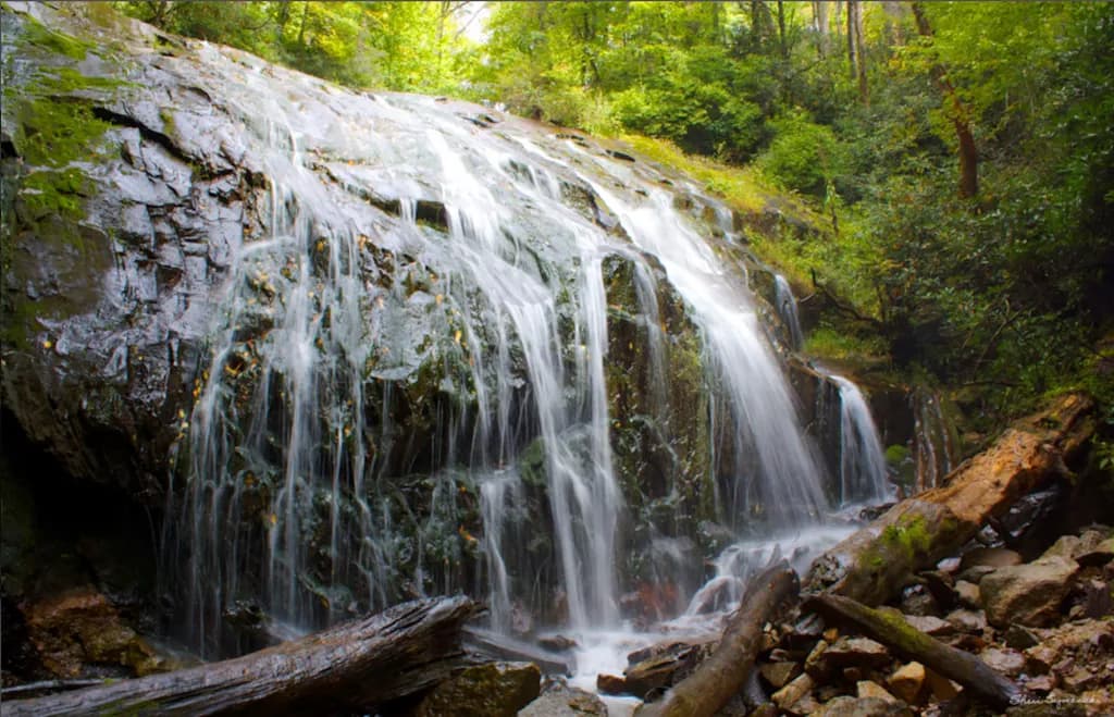 Whispers of Serenity: A Tranquil Waterfall in the Heart of the Forest