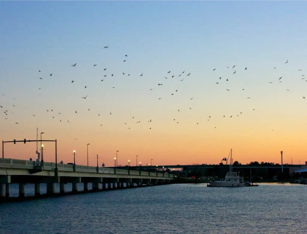 Whispers of the Evening: A Serene Sunset Over the Harbor with Dancing Birds