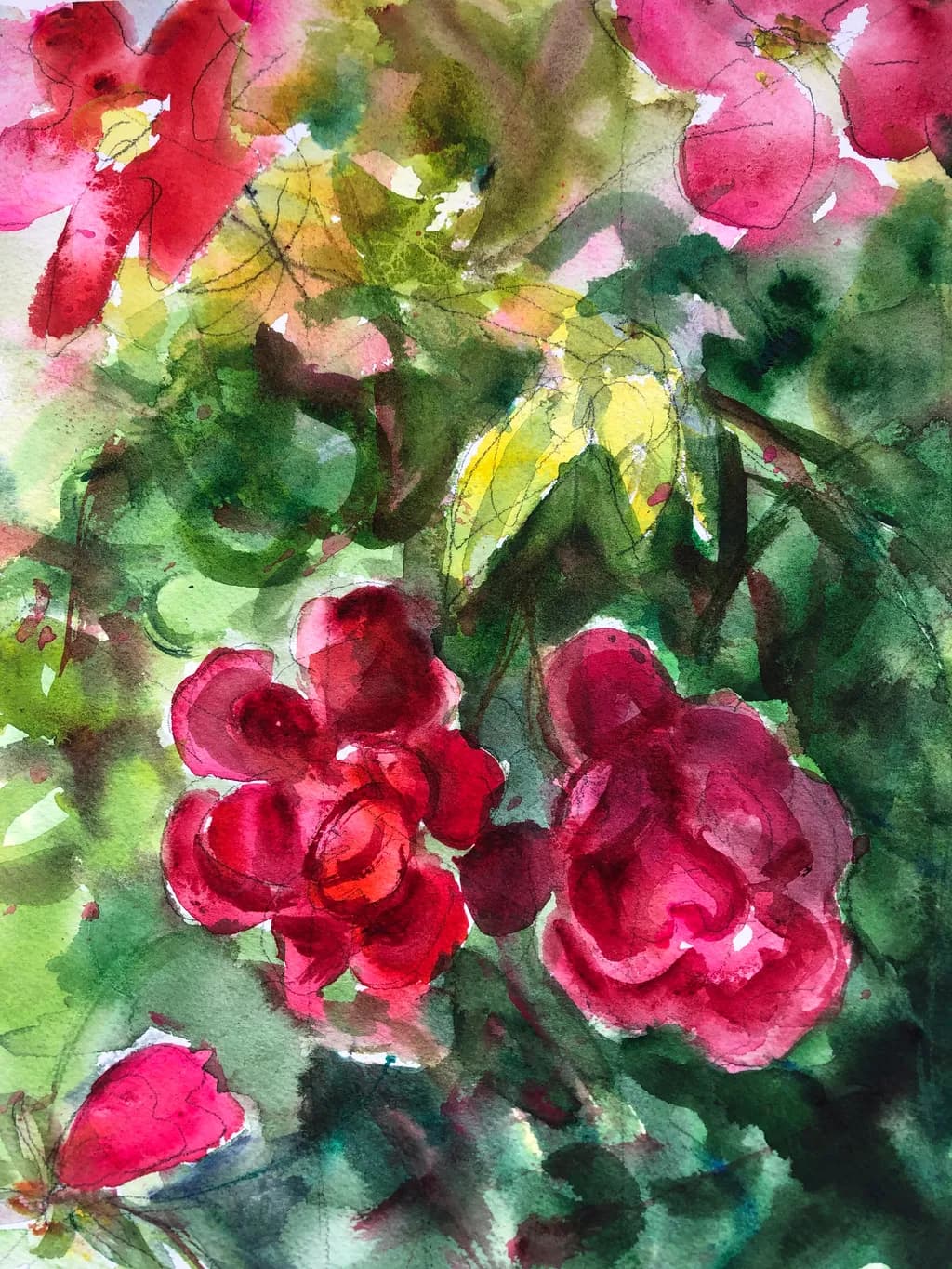 Crimson Blooms