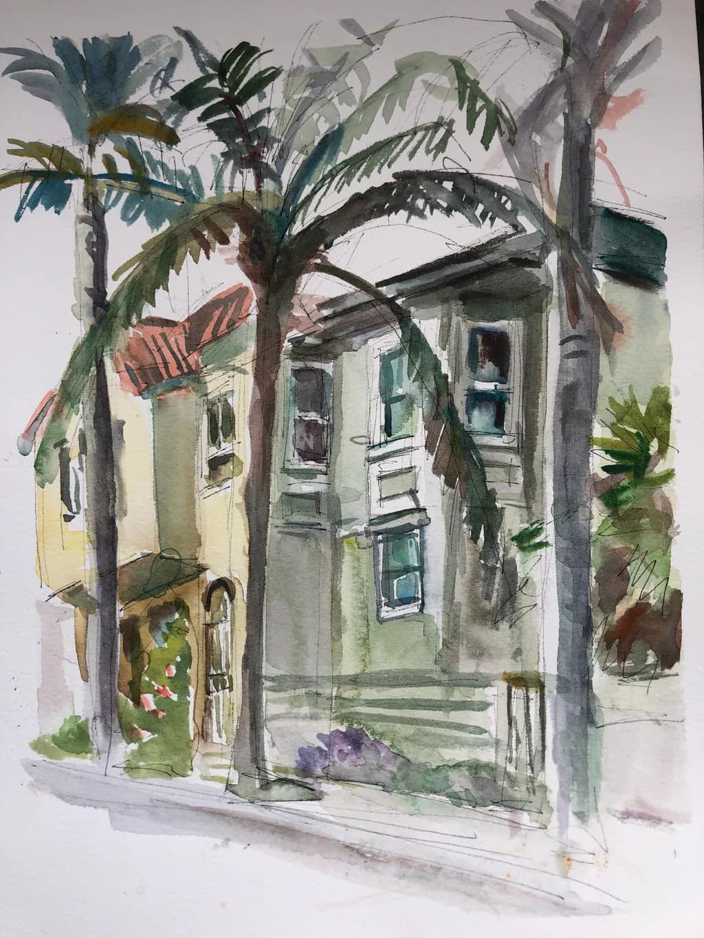 Palm Shade Facade