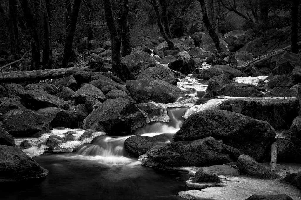 Whispers of the Stream: A Serene Journey Through Monochrome Waters