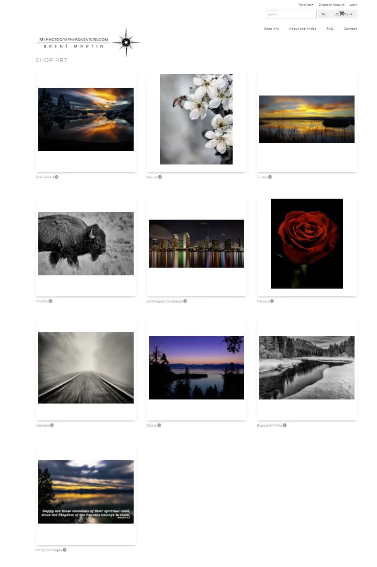 Whispers of Nature: A Serene Journey Through Blossoms and Light