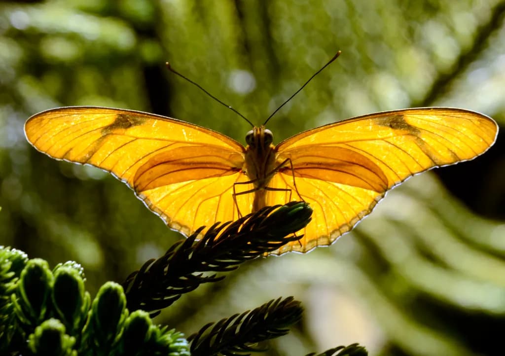Golden Wings: A Serene Encounter with Nature's Beauty