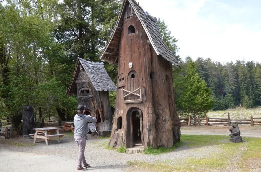 Whimsical Woodland Retreat: A Journey into Nature's Heart