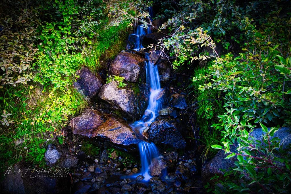 Whispers of Water: A Serene Cascade Amidst Lush Greenery
