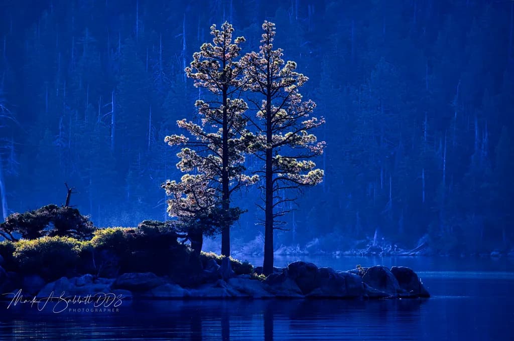 Whispers of Serenity: A Tranquil Blue Landscape with Majestic Pines by the Water's Edge
