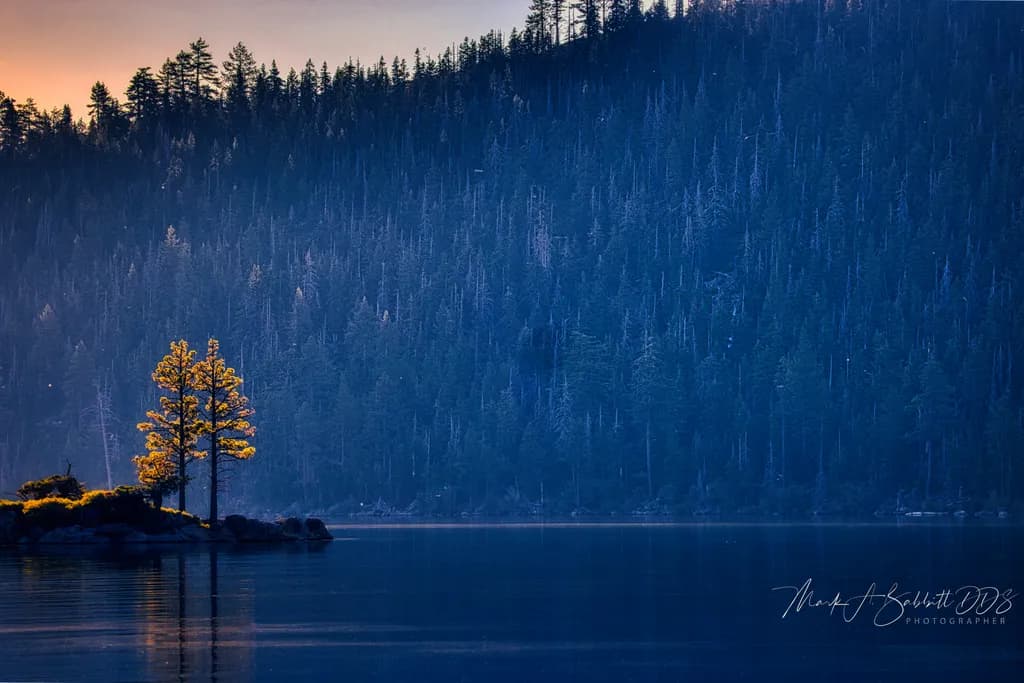 Whispers of Dawn: A Solitary Tree Embraced by Tranquil Waters at Sunrise