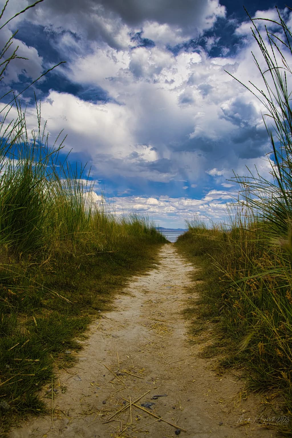 Whispers of the Sky: A Serene Pathway Through Nature's Embrace