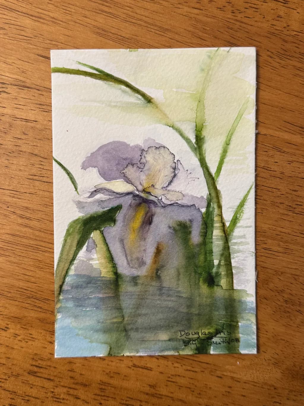 Delicate Bloom