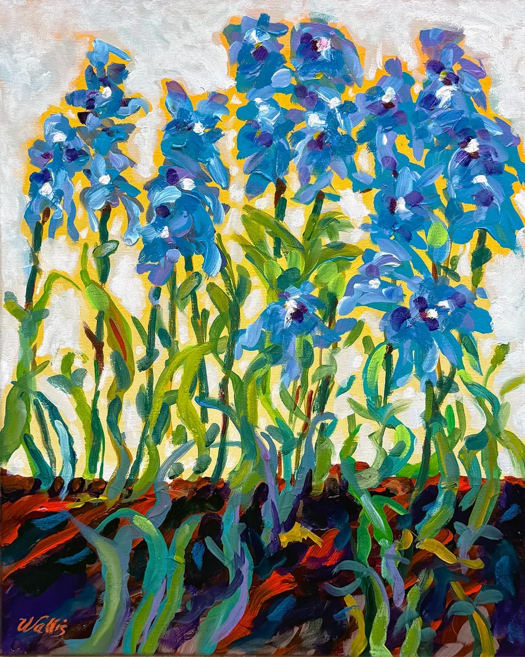 Blue Irises Bloom
