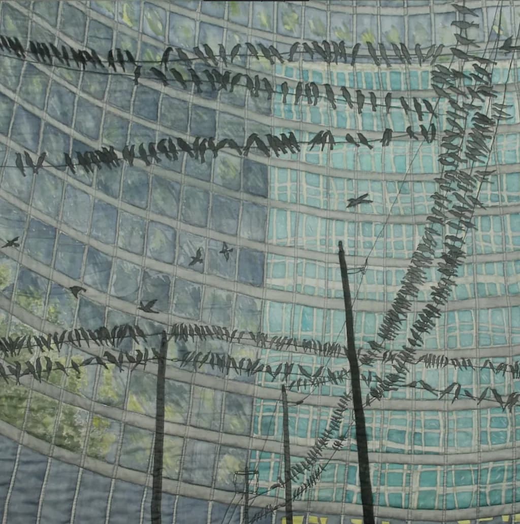 Whispers of Flight: A Dance of Shadows and Reflections in Urban Skies