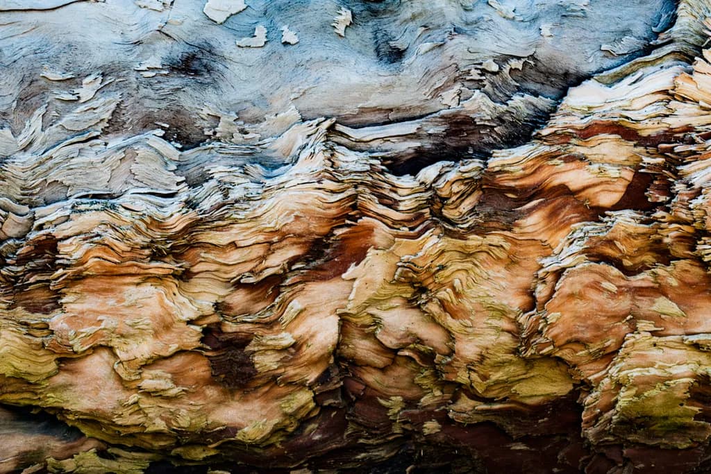 Odyssey 03
