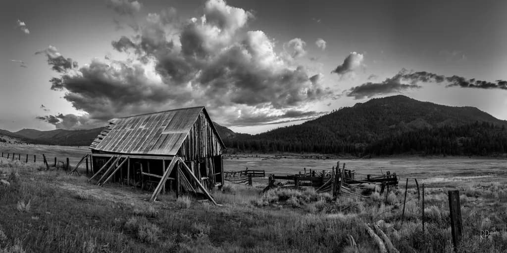 Whispers of Time: A Rustic Barn's Journey Through the Seasons