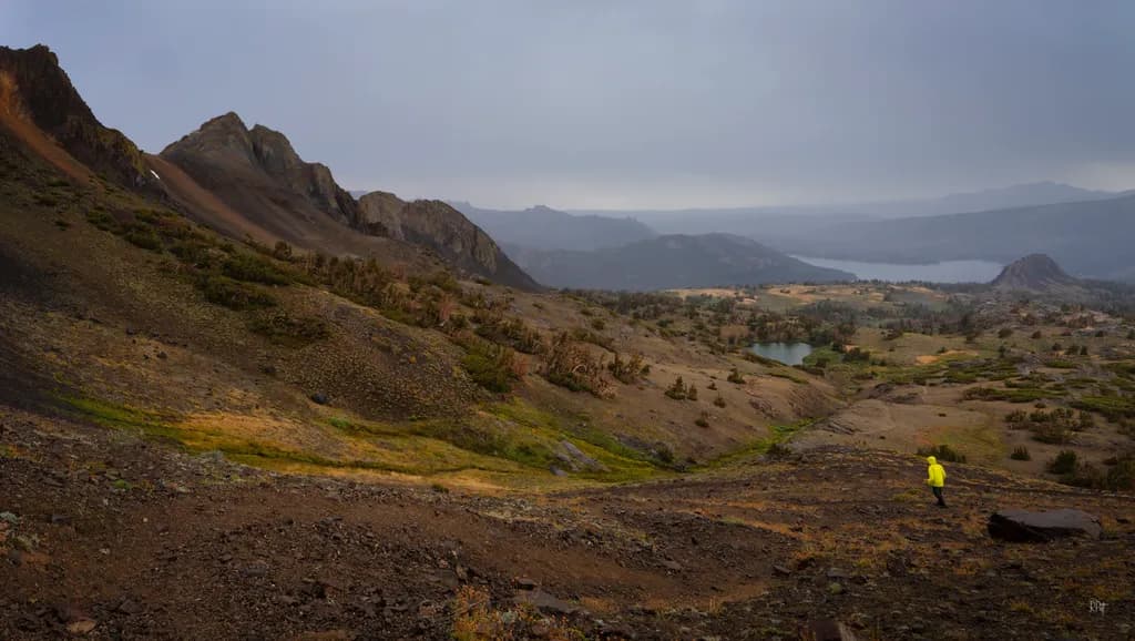 Journey Through the Quiet Wilderness: A Solitary Walk in Nature's Embrace