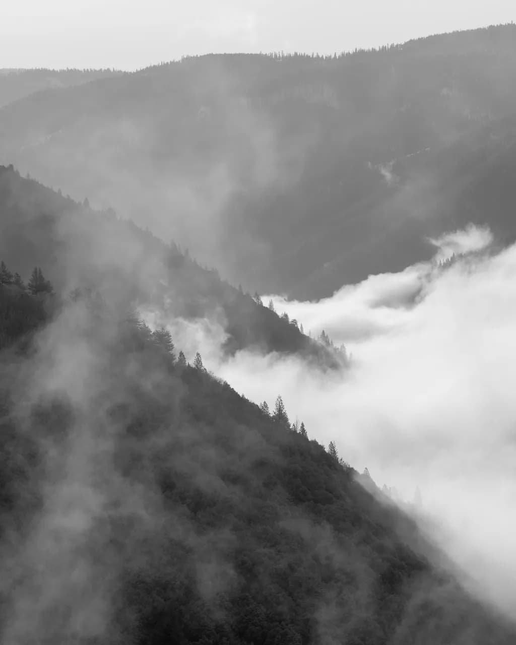 Whispers of the Mountains: A Journey Through Mist and Shadow