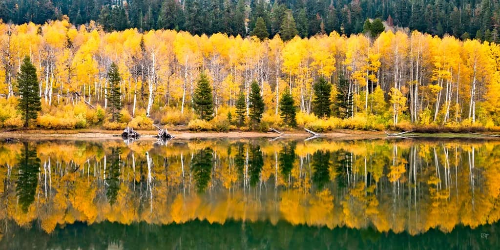Autumn's Embrace: A Serene Reflection of Nature's Palette in the Forest Lake