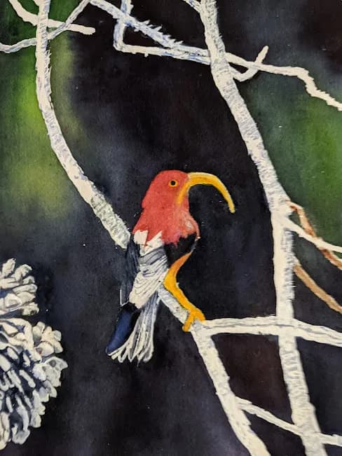 Crimson Beak