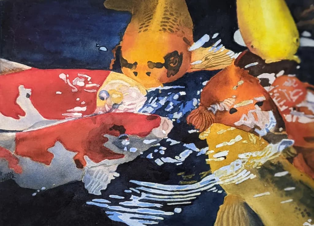 Koi Gathering