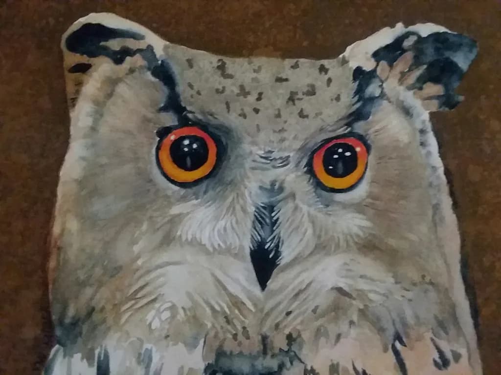 Owl Gaze