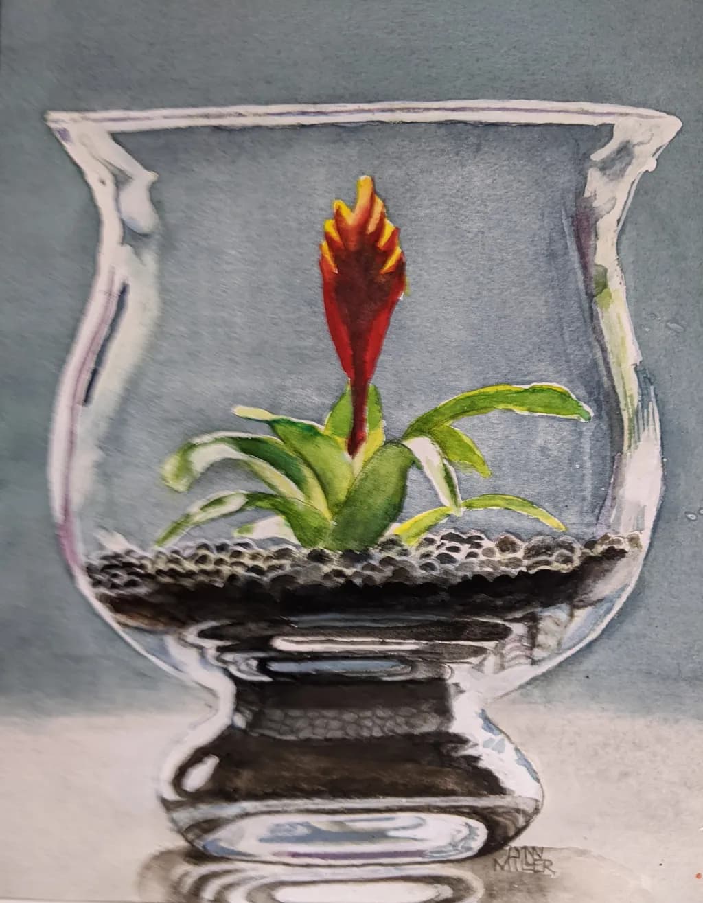 Glass Terrarium Bloom