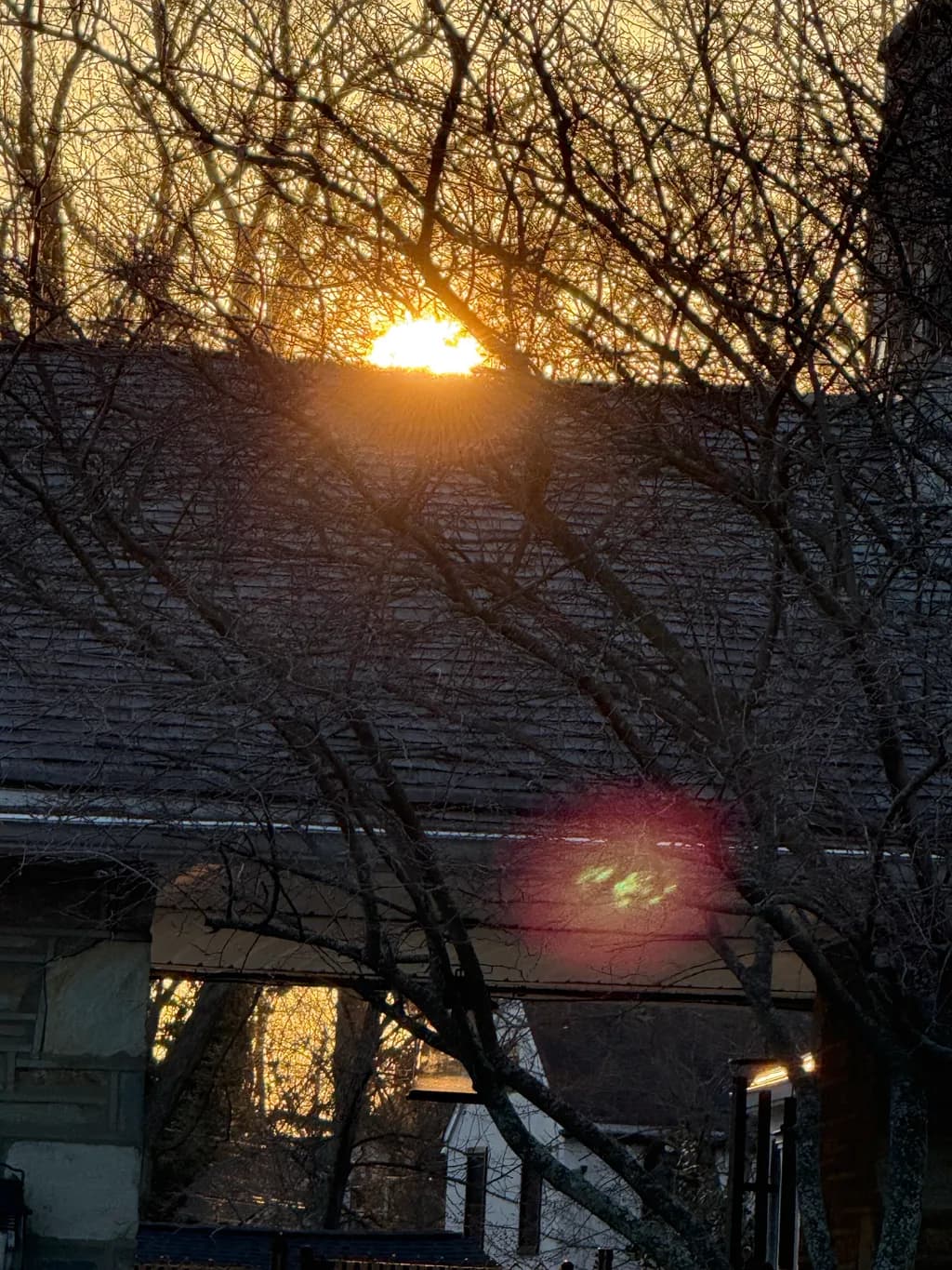Rooftop Glow