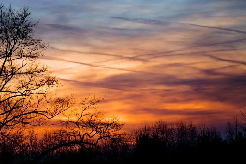Winter Sunset Silhouettes