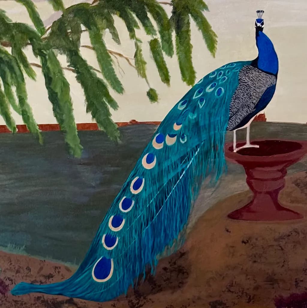 Majestic Peacock