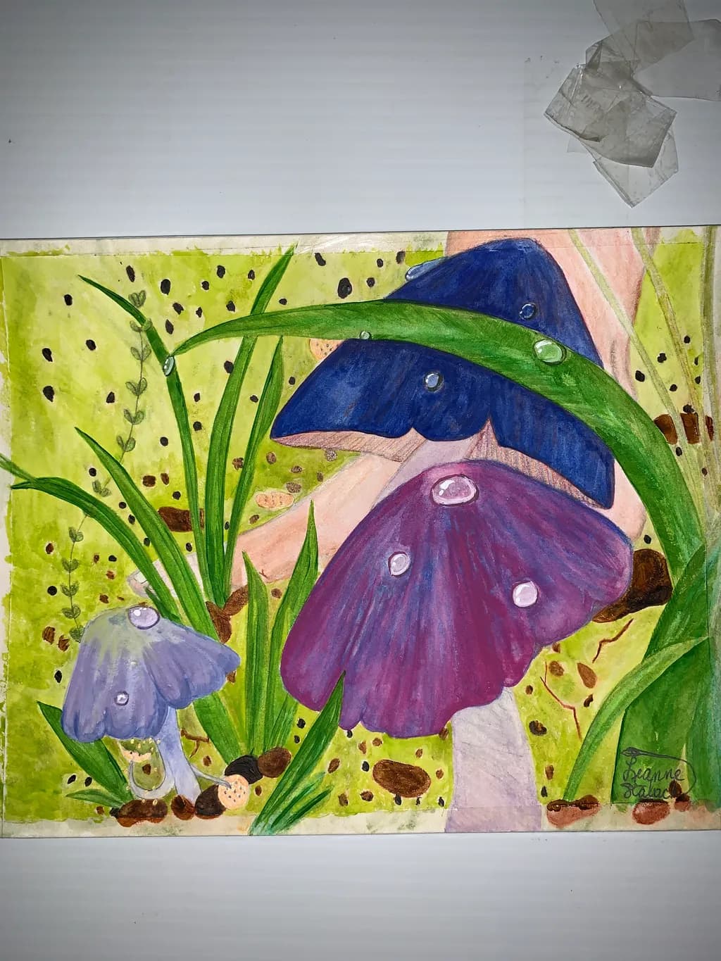 Mushroom Garden