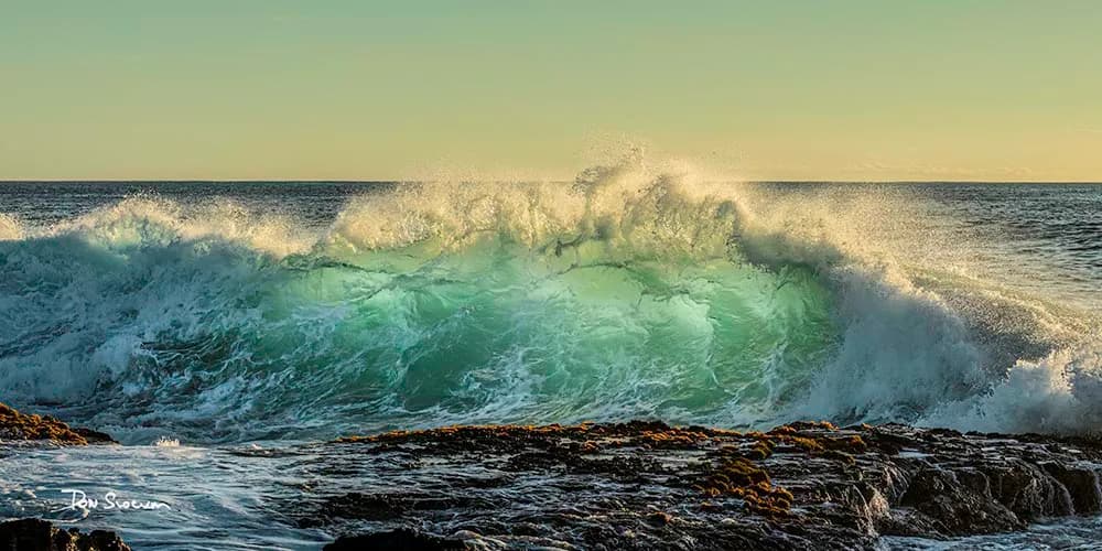 Backlit Wave