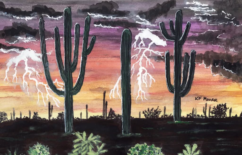 Sonoran Light Show