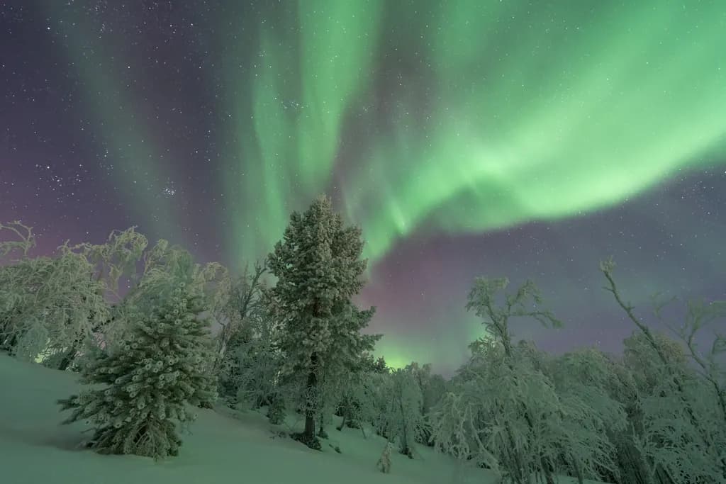 Aurora Dance